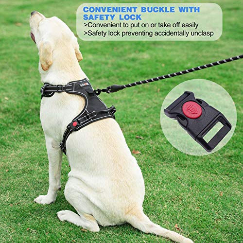 tobeDRI No Pull Dog Harness Adjustable Reflective Oxford Easy Control Medium Large Dog Harness with A Free Heavy Duty 5ft Dog Leash, Blue/Grey, L - color: Blue/Grey, size: Large
