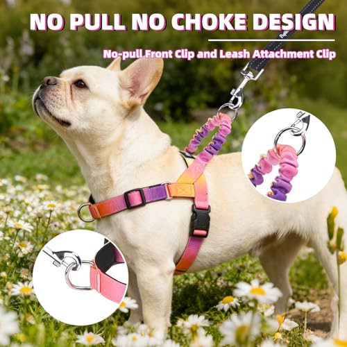 PUPTECK No Pull Dog Harness Small Sized Dog, Adjustable Reflective Pet Vest Harness with Bungee Handle, Escape Proof No Choke Harness for Small Dogs Walking Training, Pink & Purple M - color: Pink & Purple, size: M (NECK: 16.5"-19.5", CHEST: 21.5"-28")