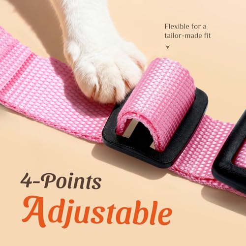 Dooradar Cat Harness and Leash Set, Adjustable and Escape Proof, Xs - color: Pink Coneflower, size: Xs