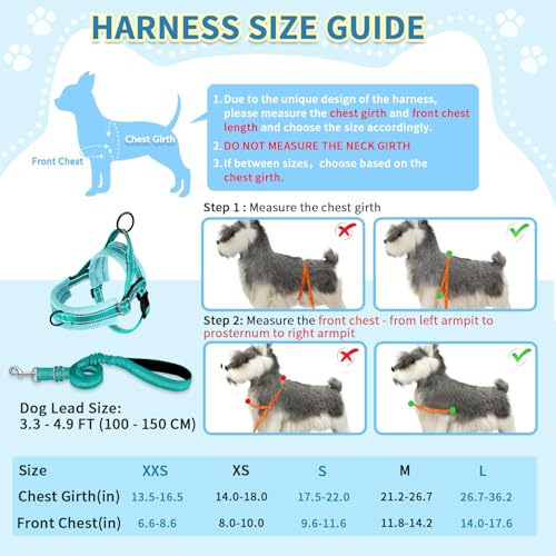 SlowTon No Pull Small Dog Harness and Leash Set with Front Clip - color: Teal, size: XX-Small