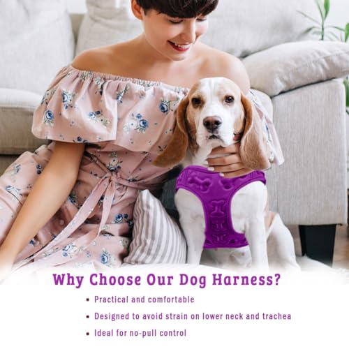 Comfort Fit Dog Harness, Soft Padded Easy Step-in Vest - Purple, M - color: Purple, size: M (Chest 15" - 18")