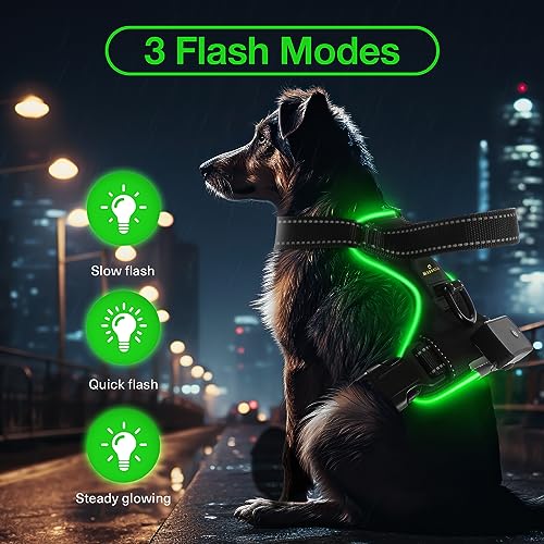 MASBRILL Light Up Dog Harness - No Pull Led Dog Harness Rechargeable Adjustable Lighted Dog Vest Harness for Small Medium Large Dogs - color: Black-Green, size: S