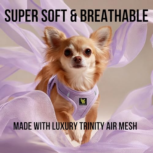 EcoBark Premium Teacup Dog Harness, Mini Step in Vest, XXXS, Lavender - color: Lavender, size: XXXS- 2 to 3 lbs- Chest up to 10 in (Pack of 1)