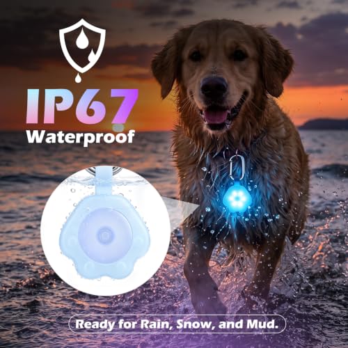 NOVKIN 2 Pack LED Dog Collar Light, 7-Color Changing USB Rechargeable Dog Night Lights for Walking, Waterproof High Visibility Clip on Safety Light for Dog Collars, Harnesses & Leashes