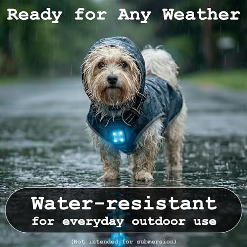 Dog Collar Light, Rechargeable LED Dog Safety Light for Night Walking, Clip-On or Strap-On Pet Light for Collar, Harness and Leash, High Visibility, Water-Resistant, USB-C, Yellow - color: Yellow
