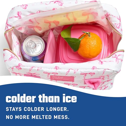 Fit & Fresh Cool Coolers Soft Ice Packs for Lunch Bags & Coolers, 2pk - color: Pink Bows (2 Pack)