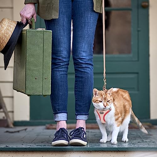 Cat Harness and Leash Set, Soft and Breathable Vest with Reflective Strip, Escape Proof Kitten Harness, Easy to Wear for Cats Walking and Traveling (Purple, S) - color: Purple, size: S (Chest:13''-14.5'')