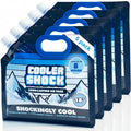 Cooler Shock Reusable Ice Packs for Cooler - Long Lasting Cold Freezer Packs for Coolers and Lunch Boxes - Cooler Ice Packs for Camping Gear, Fishing, Road Trips, Beach Must Haves - style: Small - With Handle - 5pk