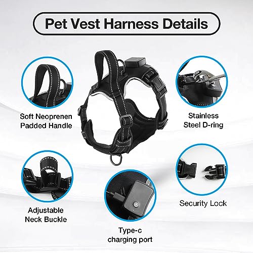 MASBRILL Light Up Dog Harness - No Pull Led Dog Harness Rechargeable Adjustable Lighted Dog Vest Harness for Small Medium Large Dogs - color: Black-Green, size: S
