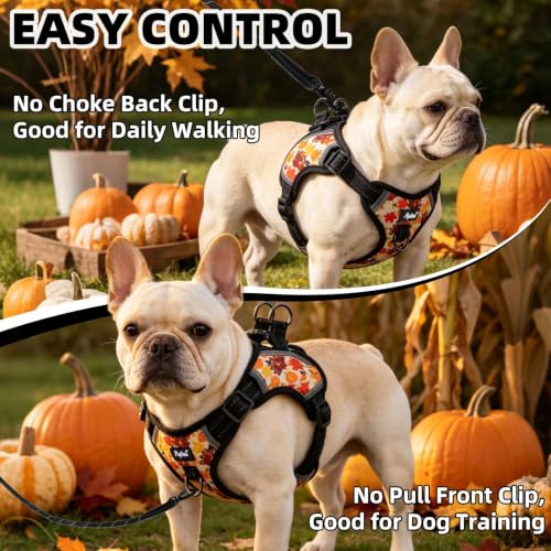 PUPTECK Fall Thanksgiving Dog Harness Small Sized Dog, Step in Adjustable Reflective Dog Vest Harness Escape Proof, No Pull Soft Padded Harness Easy Control, Yellow, S - color: Yellow(Turkey), size: S (CHEST: 13"-18")