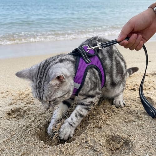 Heywean Cat Harness and Leash Escape Proof, Soft Breathable Mesh Kitty Walking Vest, Adjustable Step-in Kitten Harness Set with Reflective Strip for Small Cats - color: Purple, size: Small