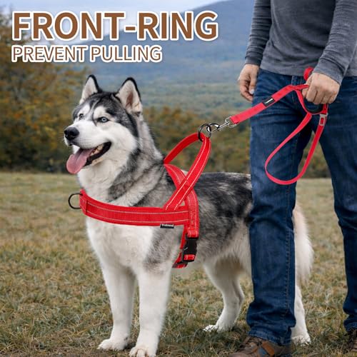 No Pull Dog Harness and 5FT Leash Set with Car Seatbelt Clip,Red, S - color: Reflective-Red, size: S:Belly Chest-19.2''-23.4''