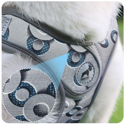 Dog Harness with Leash Set, No Pull Adjustable Step in Pet Vest - color: Gray-2, size: Medium