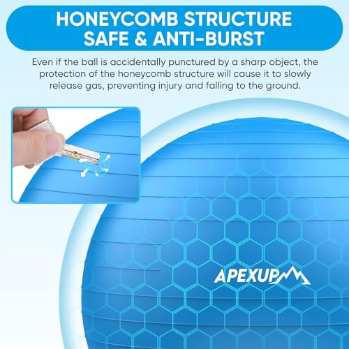 APEXUP Yoga Ball, 660 lbs Anti-Burst Exercise Ball with Pump, 5 Sizes - color: Blue, size: M (19"~22") 55cm