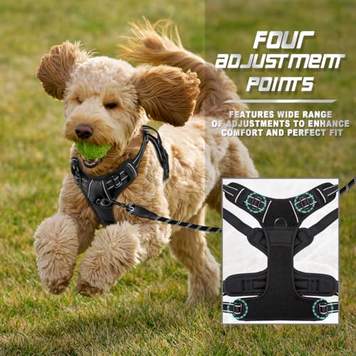 BARKBAY Dog Harness No Pull for Small Sized Dog Front Back Clips,Dog Vest - color: Black, size: X-Small(Chest:15.5-19.5”)