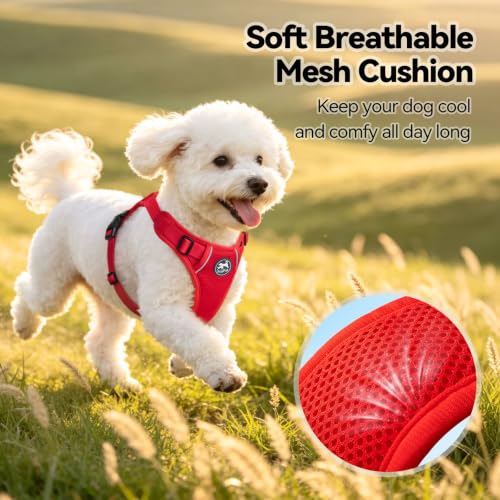 PoyPet Mesh Dog Harness, Reflective Breathable Puppy Vest for Small Dogs - color: Red, size: XS