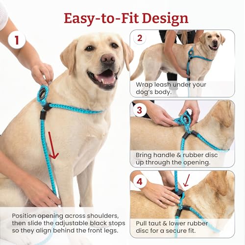 Harness Lead No Pull Dog Harness and Leash Set, Anti Pull Dog Harness, One-Piece Cushioned Rope Safely Prevents Escaping and Pulling (Medium/Large, Peacock/Blue/Lime) - color: Peacock (Blue/Lime)