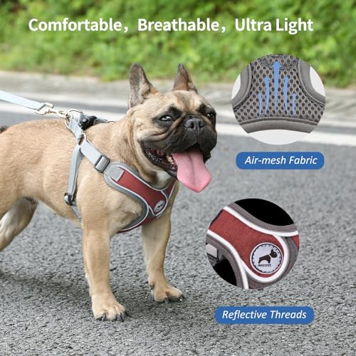 Dog Harness with Leash Set, No Pull Adjustable Step in Pet Vest - color: Red, size: S