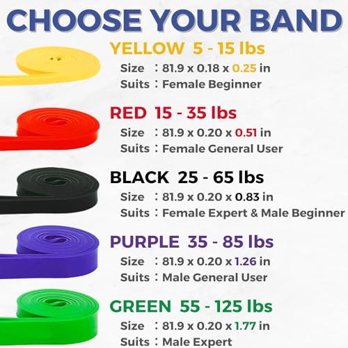 LEZER Resistance Bands - Pull Up Bands for Home Gym Fitness, Stretching, Physical Therapy & Training - Includes Instruction - color: 02 - Red