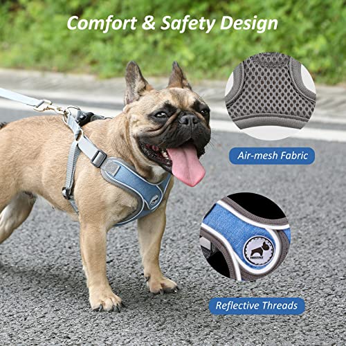 Dog Harness with Leash Set, No Pull Adjustable Step in Pet Vest - color: Blue, size: XS