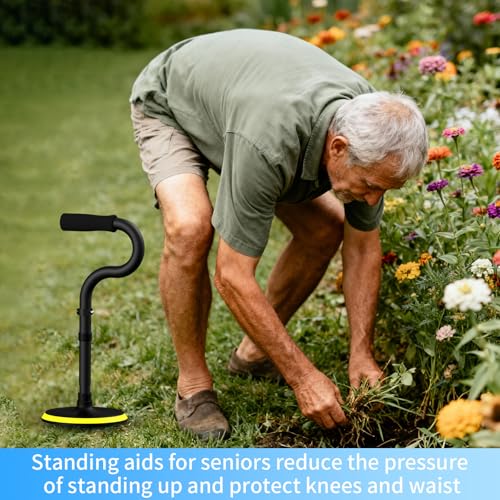 Standing Assist Devices Mobility Aids to Help Get up from Floor (Matte Black) - color: Matte Black