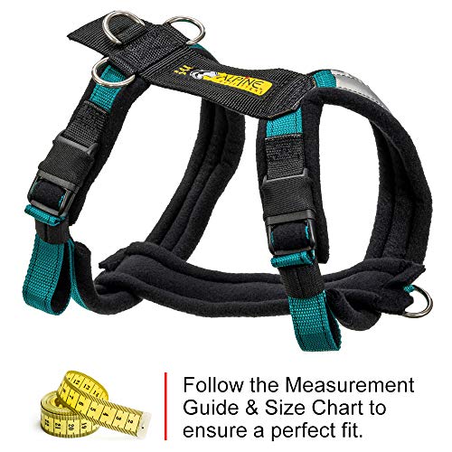 Adjustable Dog Harness, No-Pull D-Ring - Alpine Outfitters Urban Trail – Padded, Reflective, Multi-Use for Hiking, Running, and Everyday Wear - Medium Teal - color: Teal, size: Medium