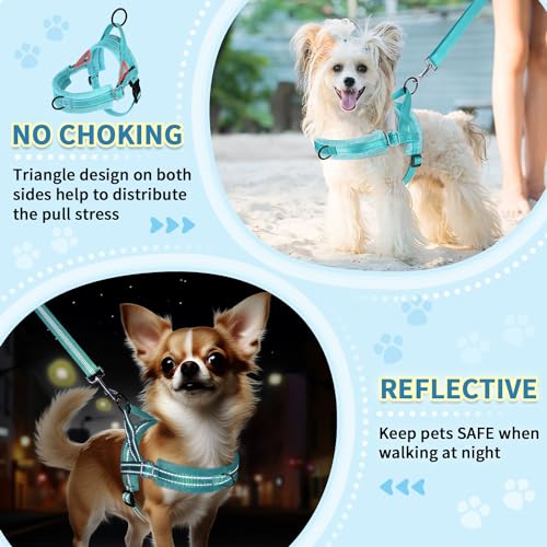 SlowTon No Pull Small Dog Harness and Leash Set with Front Clip - color: Teal, size: X-Small