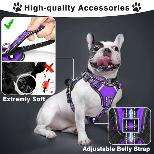 WINSEE Pet Harness Collar and Leash Set, All-in-one Reflective Dog Harness No Pull with Adjustable Buckles for Puppies, Small, Medium, Large, and Extra-Large Dogs (Large, Purple) - color: Purple, size: Large