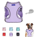 Step in Mesh Dog Harness and Leash Set Breathable Air Mesh Harness - color: Purple, size: L(neck:13.5"-15.5",chest:18"-19.5")