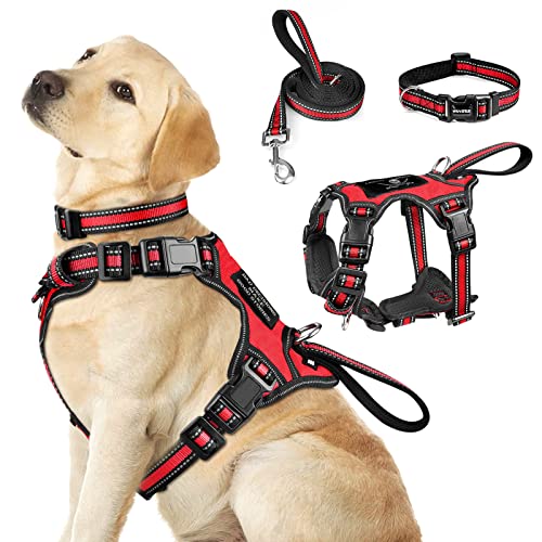 WINSEE Pet Harness Collar and Leash Set, All-in-one Reflective Dog Harness No Pull with Adjustable Buckles for Puppies, Small, Medium, Large, and Extra-Large Dogs (Large, Red) - color: Red, size: Large