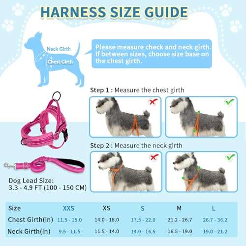 SlowTon No Pull Small Dog Harness and Leash Set with Front Clip - color: Fuchsia, size: XX-Small