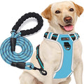 tobeDRI No Pull Dog Harness Adjustable Reflective Oxford Easy Control Medium Large Dog Harness with A Free Heavy Duty 5ft Dog Leash, Blue/Grey, M - color: Blue/Grey, size: Medium