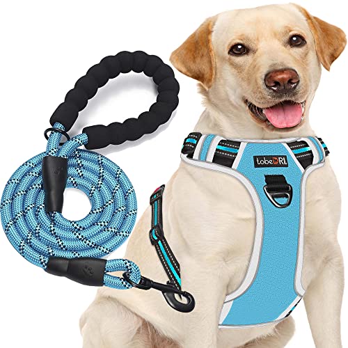tobeDRI No Pull Dog Harness Adjustable Reflective Oxford Easy Control Medium Large Dog Harness with A Free Heavy Duty 5ft Dog Leash, Blue/Grey, L - color: Blue/Grey, size: Large