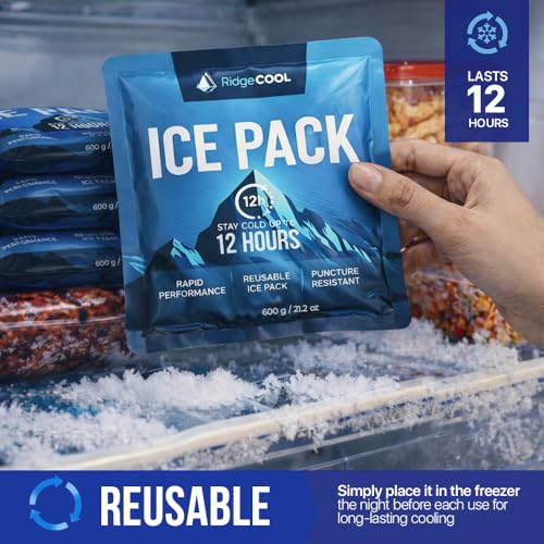 4 Pack Large Reusable Ice Packs for Coolers, Long Lasting Freezer Packs for Cooler Bags and Insulated Totes, Leakproof, BPA-Free, Food Safe - size: 4-Pack / 600g Each