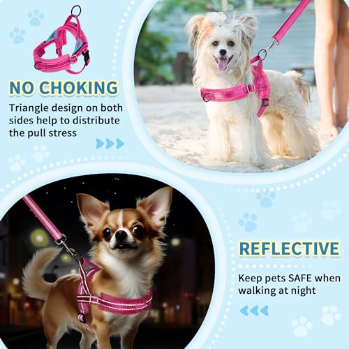 SlowTon No Pull Small Dog Harness and Leash Set with Front Clip - color: Fuchsia, size: Small