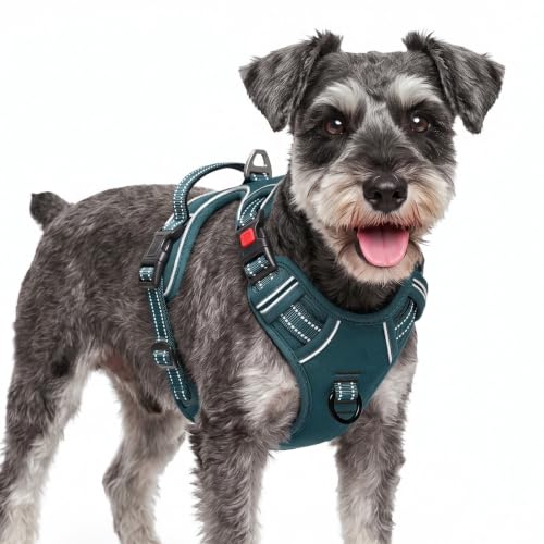 HEELE Dog Harness, Neck Release, No Pull Front Clip Vest, Blackish Green, S - color: Lock Blackish Green, size: S (Pack of 1)