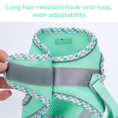 Petank Step in Dog Harness No Pull and Leash for Small Medium Dogs Cats. - color: Green, size: XXS