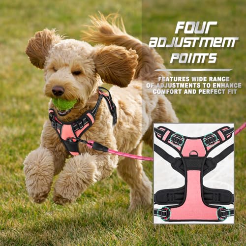 BARKBAY Dog Harness No Pull for Small Sized Dog Front Back Clips,Dog Vest - color: Light Pink, size: X-Small(Chest:15.5-19.5”)