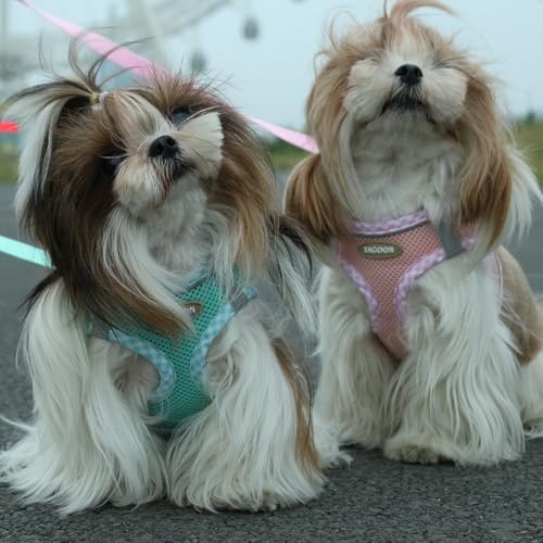 Dog Harness and Leash Set, Soft Breathable Mesh Doggy Vest, Adjustable No-Pull Chest Harness with Reflective Trim, Walking Set for Small & Medium Size Pet & Mini Poodle Puppy, L Size Green - color: GREEN, size: L