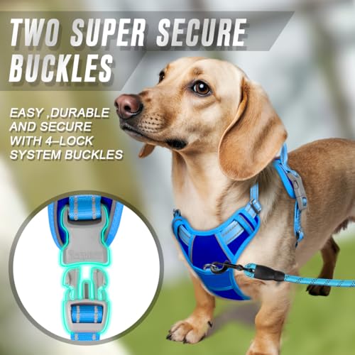 BARKBAY Dog Harness No Pull for Small Sized Dog Front Back Clips,Dog Vest - color: Sapphire Blue & Blue, size: X-Small(Chest:15.5-19.5”)
