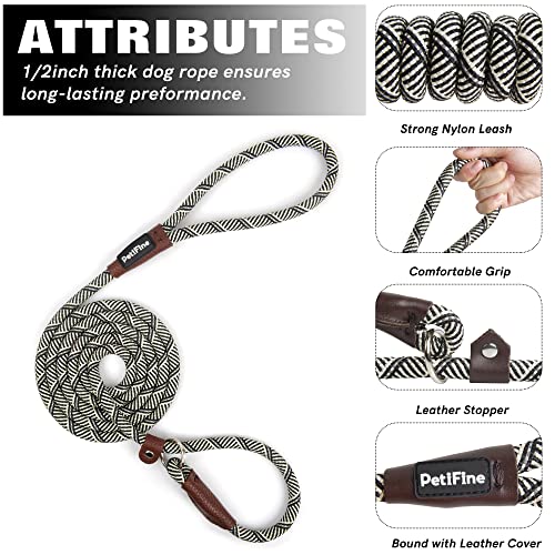PetiFine Slip Lead Dog Leash Reflective, 6FT x 3/8" Heavy Duty Slip Leash - color: Grey, size: 3/8" x 6 FT