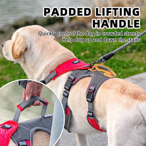 PUPTECK Escape Proof Dog Harness and Leash Set Upgraded No Pull Reflective Dog Vest with Lift Handle, Easy Control Pet Harness for Medium Large Dogs Training Walking Running - color: Red/Grey, size: Medium