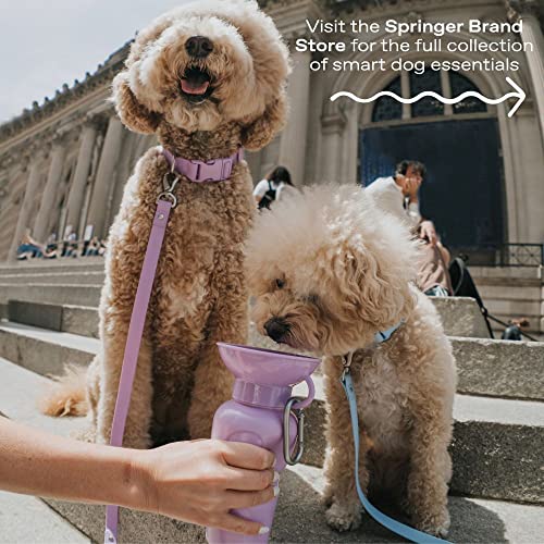 Springland 15oz Classic Portable Dog Water Bottle with Built-in Bowl, Blue - color: Sky Blue, size: 15oz Mini