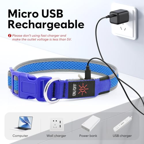 Flashseen LED Dog Collar, Light Up Dog Collar USB Rechargeable, Blue, S - color: Blue, size: Small