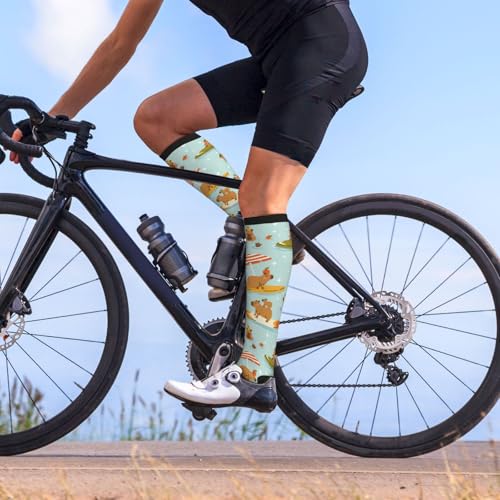 Compression Socks, Unisex 15-20 mmHg Knee High Support Socks - color: Cute Capybara