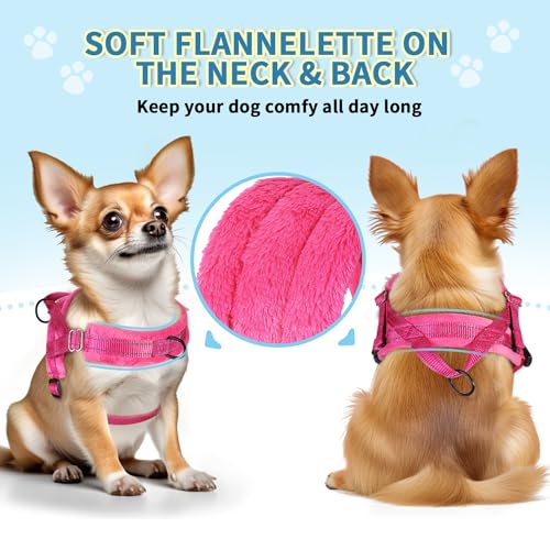 SlowTon No Pull Small Dog Harness and Leash Set with Front Clip - color: Fuchsia, size: XX-Small