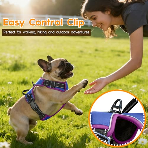No Pull Dog Harness, No-Choke Soft Padded Reflective Dog Vest Harness with Front Clip & Top Handle, 2 Quick-Release Buckles, Adjustable for Small Medium Large Dogs - color: Blue/Purple, size: X-Small