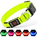 Illumifun Light Up Dog Collar, USB-C Rechargeable LED Collar Glow in the Dark，Adjustable Pet Safety Lights for Night Walking (Green, Medium) - color: Green, size: Medium