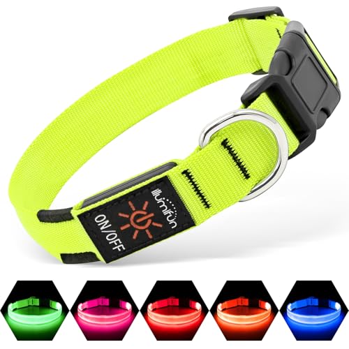 Illumifun LED Dog Collar, USB-C Rechargeable Light Up Collar Glow in Dark, Adjustable Pet Safety Lights for Night Walking Camping (Green, Large) - color: Green, size: Large