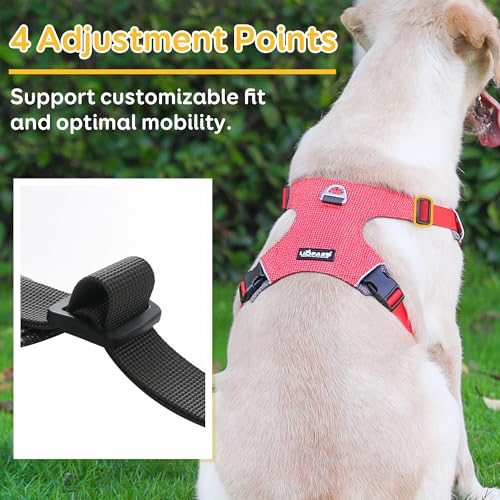 LIOPARD Dog Harness, Easy Walk Pet Harness No Pull with 2 Leash Clips, Reflective Running Soft Padded Adjustable Puppy Vest, Heavy Duty Seatbelt Harness for Car for Small Dogs (red, S)